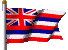 Flag:  Hawaii