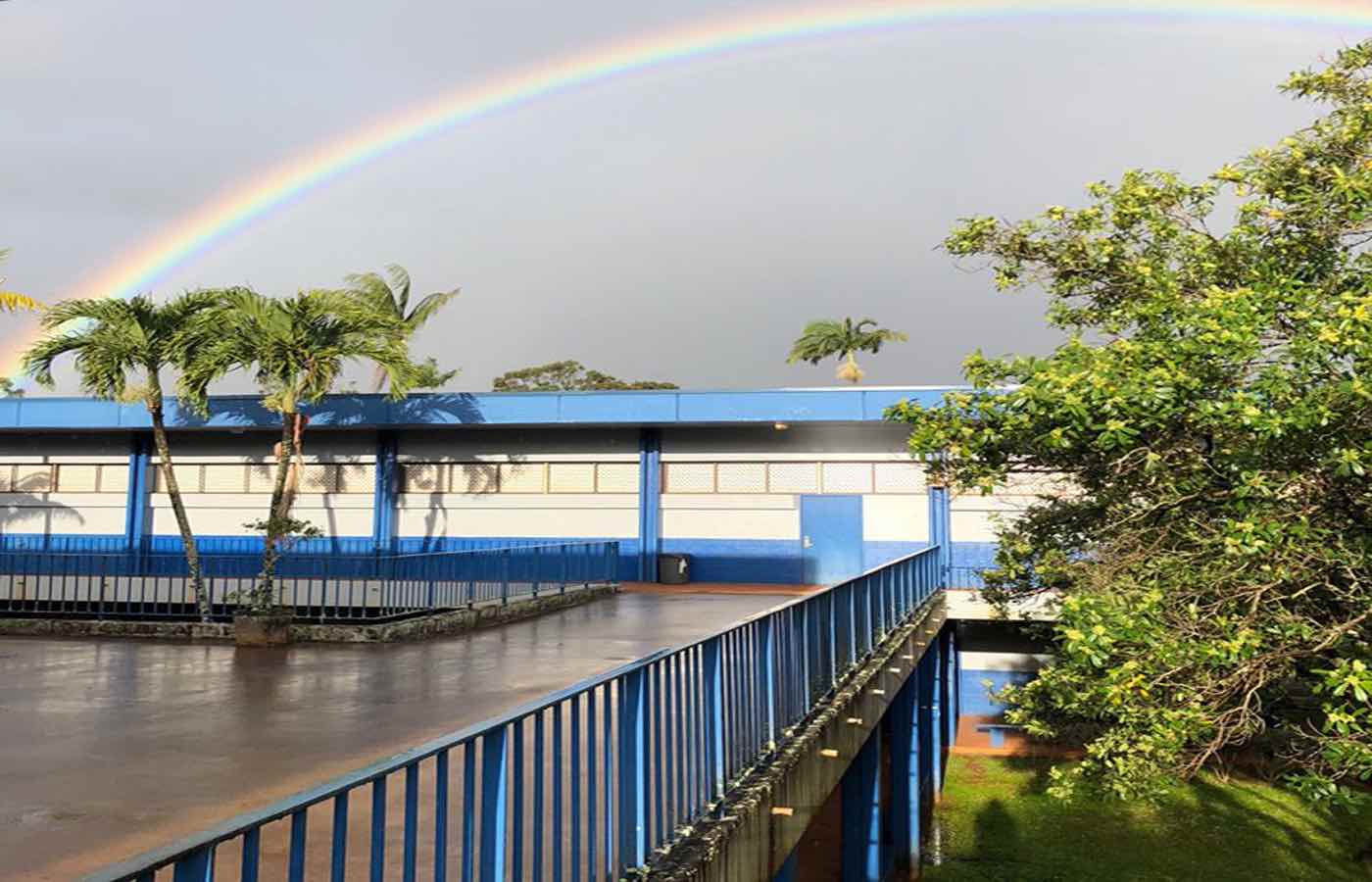 Photo:  Rainbow-Library
